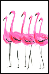 Flamants Roses