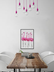 Flamants Roses
