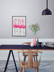 Flamants Roses