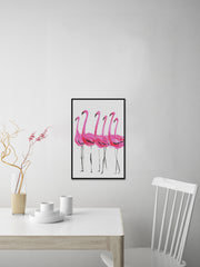Flamants Roses