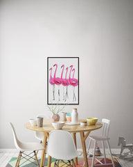Flamants Roses