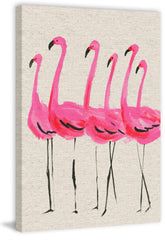 Flamants Roses