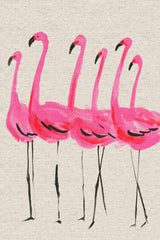 Flamants Roses