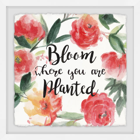 Bloom Where You Are Planted