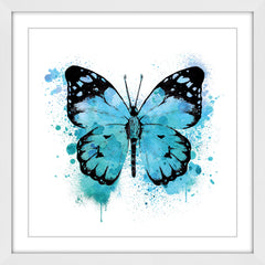 Butterfly Black Blue