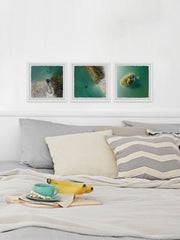 Calm Waters Triptych