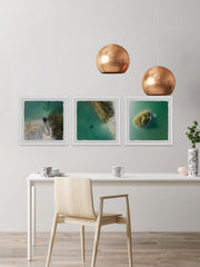 Calm Waters Triptych