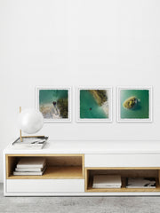 Calm Waters Triptych