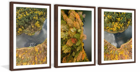 Colorful Bushes Triptych