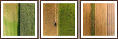 Crop Rows Triptych
