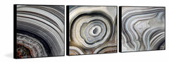 Beige Swirls Triptych