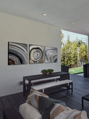 Beige Swirls Triptych