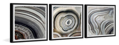 Beige Swirls Triptych