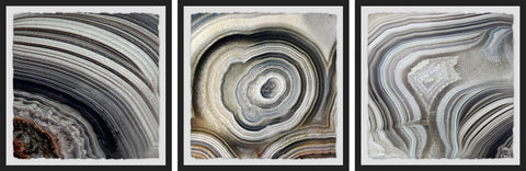 Beige Swirls Triptych