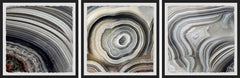 Beige Swirls Triptych