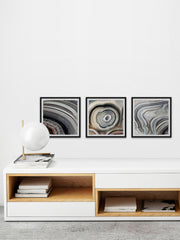 Beige Swirls Triptych