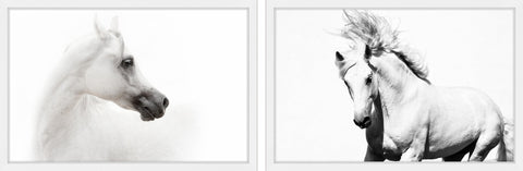 White Beauties Diptych