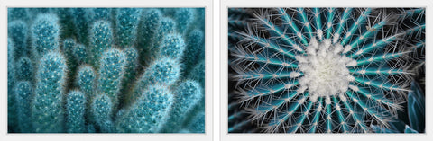 Glorious Spikes Diptych