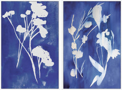 White Stems Diptych