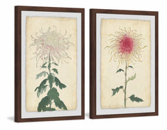 Spaghetti Blooms Diptych