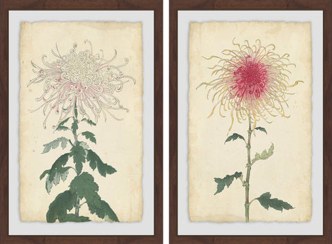 Spaghetti Blooms Diptych
