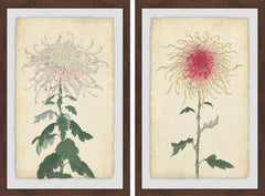 Spaghetti Blooms Diptych