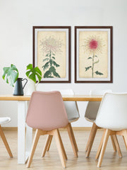 Spaghetti Blooms Diptych