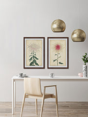 Spaghetti Blooms Diptych