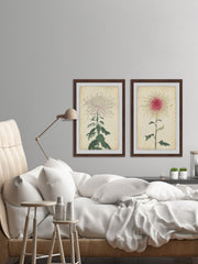 Spaghetti Blooms Diptych