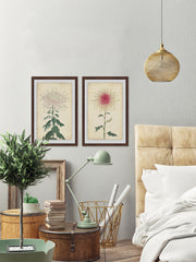 Spaghetti Blooms Diptych