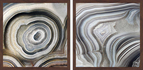 Nature Swirls Diptych
