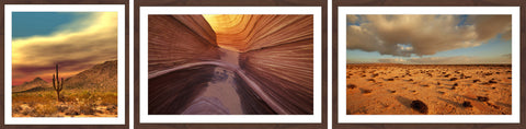 Desert Views Triptych