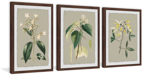 Tiny Blooms Triptych