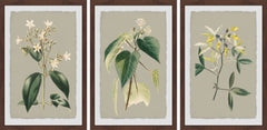 Tiny Blooms Triptych
