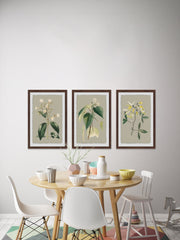 Tiny Blooms Triptych