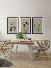 Tiny Blooms Triptych