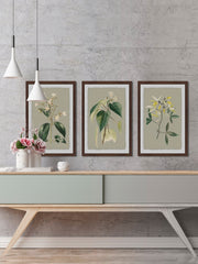 Tiny Blooms Triptych