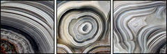 Beige Swirls Triptych