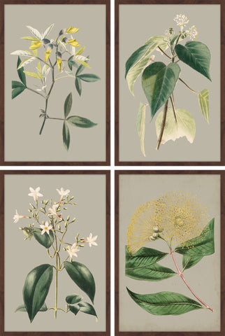 Green Botanicals Quadriptych
