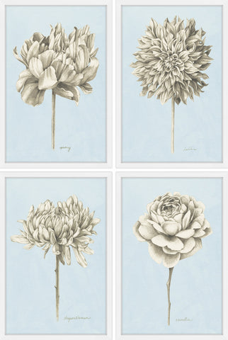 White Blooms Quadriptych