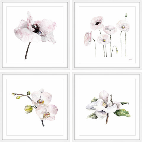 White Petals Quadriptych