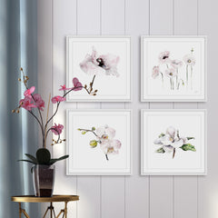 White Petals Quadriptych