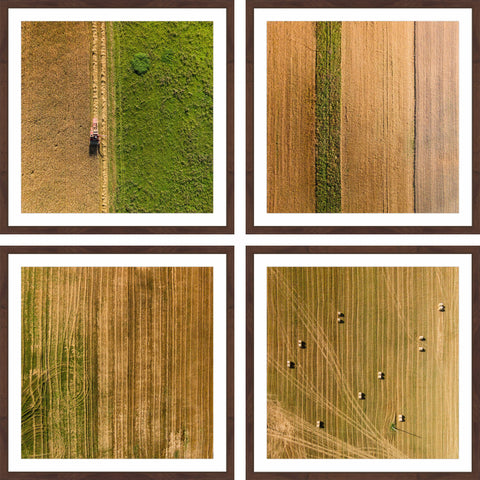 Farming Quadriptych