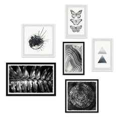 Silhouettes of Life Hexaptych