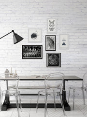 Silhouettes of Life Hexaptych