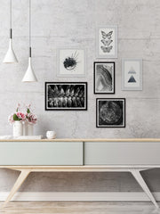 Silhouettes of Life Hexaptych