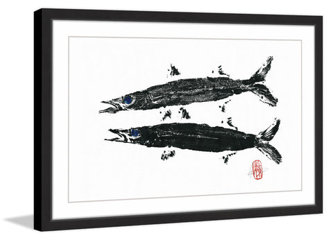 Barracuda Twins