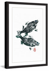 Fish Reflection