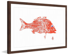 Big Red Fish