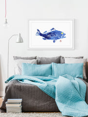 Grouper in Blue
